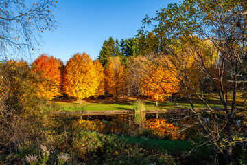 Central Wisconsin pond with surrounded by colorful trees in autumn