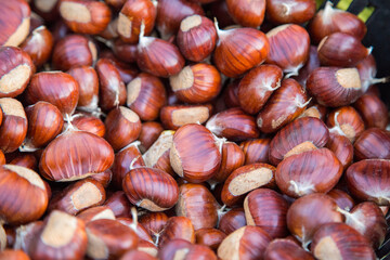 A lot of shiny fresh brown chestnuts in the market. Harvest in Mediterranean. Agricultural and dieting concept. Gluten free products. Abundant carbohydrates food 