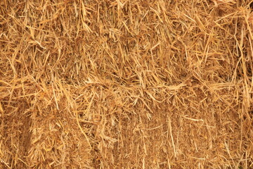 Hay Bales