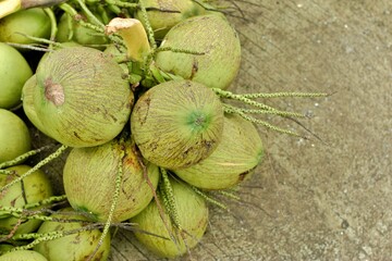 green coconut  on the floor put on pick up and go to  industry 