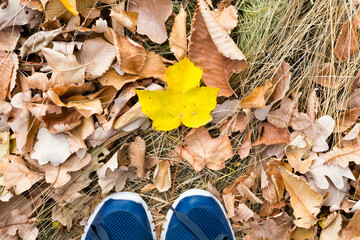 A woman's feet in sneakers stand on dry grass with one yellow maple leaf.