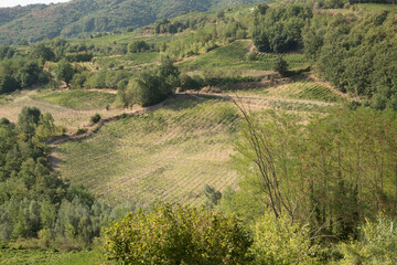 Tufo (Avellino), Italy, symbols, places and vineyards