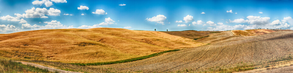 Fototapeta na wymiar Landscape of dry fields in the countryside in Tuscany, Italy