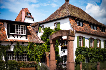 Alsace's sun-drenched gingerbread houses. Tiled roofs, flowers all around, the summer sun is shining. Beauty.