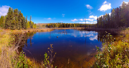 Little rilake with fall colors in Canadian forest, Quebec