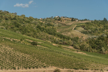 Fototapeta na wymiar Tufo (Avellino), Italy, symbols, places and vineyards