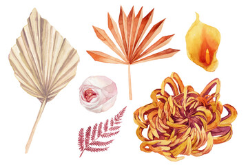 a set of watercolor images with chrysanthemums, palm leaves, rose and orhead, set for the bouquet