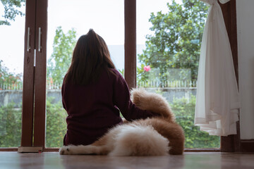 A beautiful Asian woman sitting in the living room overlooking the backyard lawn with her Akita Inu dog pet.