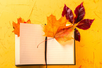 Naklejka na ściany i meble Autumn concept. Open Notepad and autumn leaves on a yellow concrete background. Top view. High quality photo