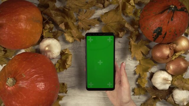 Young woman taps on greenscreen mobile phone in vertical orientation in a fall decorative composition made of vegetables and dry foliage on wooden background. Concept of rural decoration with raw food