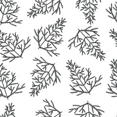 Spruce pine branch outline seamless pattern. Black plant sketch isolated on white background. Holly december merry christmas celebration.