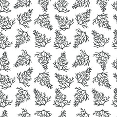 Spruce pine branch outline seamless pattern. Black plant sketch isolated on white background. Holly december merry christmas celebration.