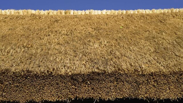 New freshly thatched covered roof.