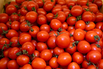 red tomatoes background. Group of tomatoes basket box