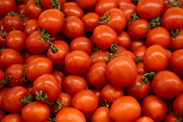 red tomatoes background. Group of tomatoes basket box