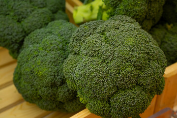 Group of fresh broccoli close upfarm products macro photography background