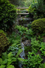 Obraz premium Garden landscape with streams and bridges