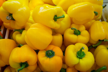 Yellow peppers natural fresh farm background with a tail