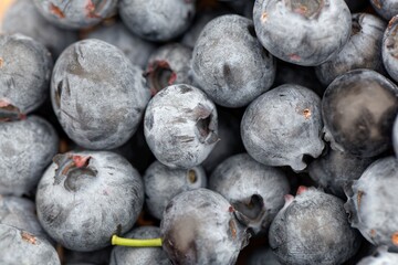 Macro photo of blueberry fruits