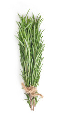 bunch of rosemary tied with scourge isolated on white background