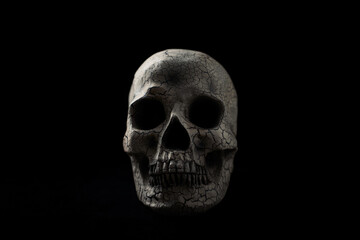 Skull isolated on black background. Copy space.