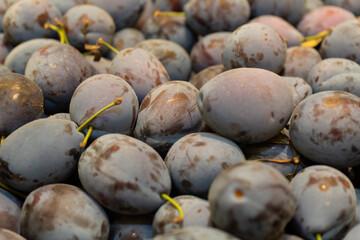 Ripe Plums Blackthorns Background, Texture food, pattern, fruit