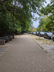 Brooklyn streetscape along Prospect Park Southwest with trees and cars lining the sidewalk.