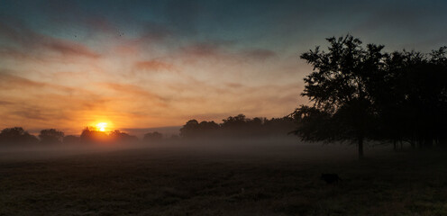 Sunrise on a foggy morning in the country
