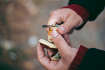 Edible mushroom in the hand of a man in the autumn forest