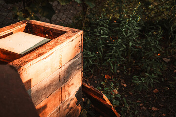 old wooden beehive with bees stands in the apiary 1