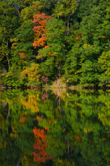 Early autumn tree foliage reflecting from a lake during fall season in New Jersey