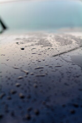 Car Wash / Lava-jato