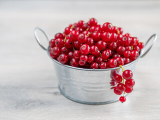 A metal basin filled with red currants