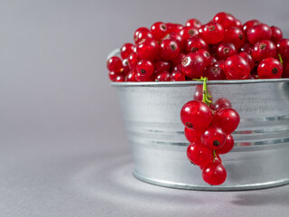 A metal basin filled with red currants
