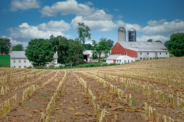 Fototapeta na wymiar Amish Farm near Lancaster, Pennsyvania, September 2020