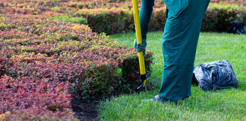 autumn landscaping work in the park