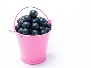 Pink bucket on a white background filled with black currants