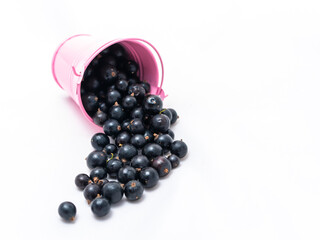 A pink bucket on a white background from which black currants are poured
