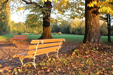 Panchina vuota nel parco in autunno