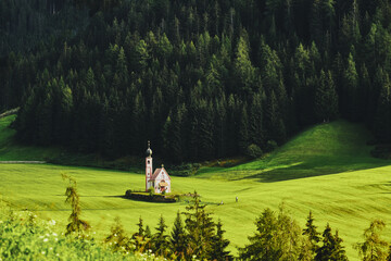 The chapel of St. Johann in Ranui surrounded by wild flowers, and a lush green forest in the background