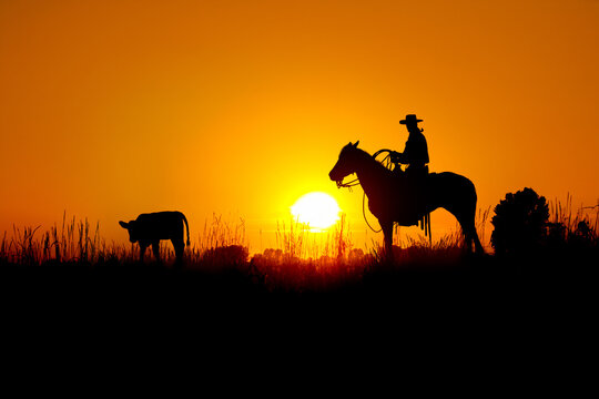 A silhouette of a working cowboy against an evening sunset getting ready to rope a stray calf.