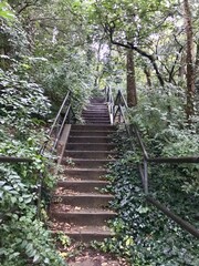 path railway in the forest woods nature green trees lush natural hidden magical fall autumn scene bridge stairs stairway sunlight USA Washington DC United States