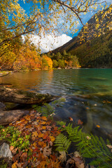 Fototapeta na wymiar autumn forest near of lake
