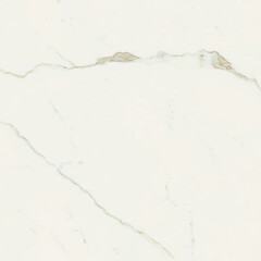 marble with black veins on a white background