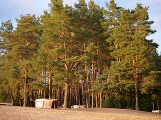 Obozowisko pośród drzew nad jeziorem © Micha