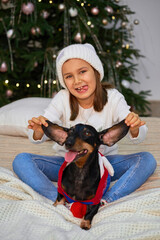 Happy childhood, Christmas magic fairy tale. A little girl is laughing with her friend, a dachshund dog, near the Christmas tree