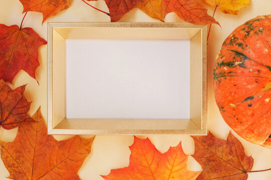 Gold frame for photos, text, images or paintings on a yellow concrete textured with maple leaves and pumpkin. Autumn background with copy space for your message.