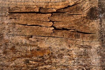 old decayed wooden board with cracks
