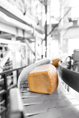 Fresh hot baked breads on automated production line bakery. Manufacture industrial