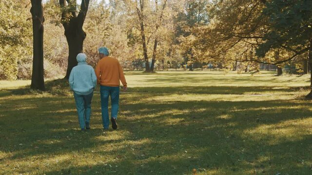 Romance and love at old age. Old couple, pensioners walking in the park on autumn day. High quality 4k footage